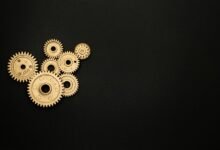 industry dynamics overview report