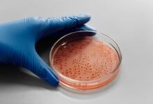 professional sector growth analysis