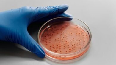 sector growth analysis report